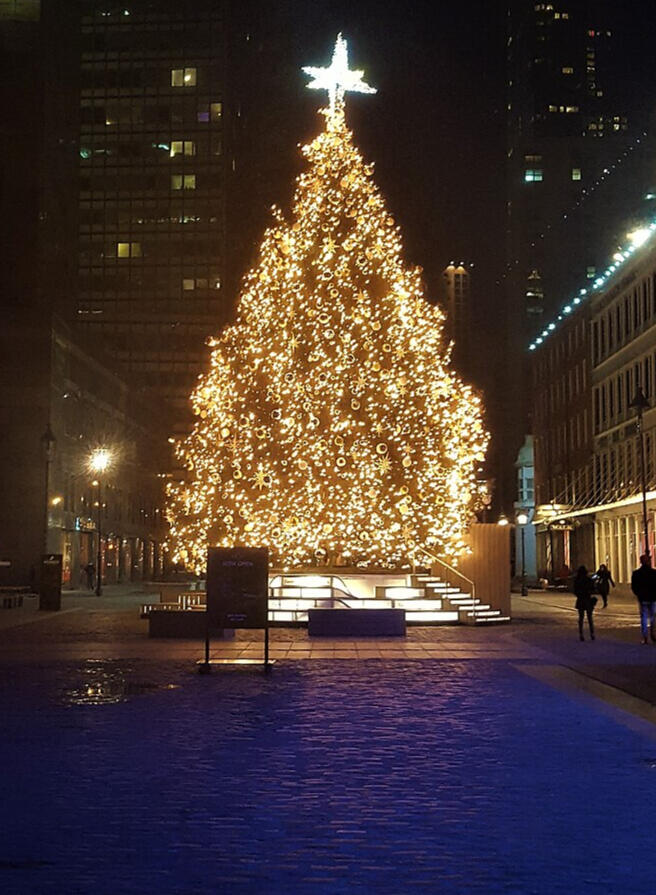 South STreet Seaport Christmas Tree in New York lit up on cobblestones